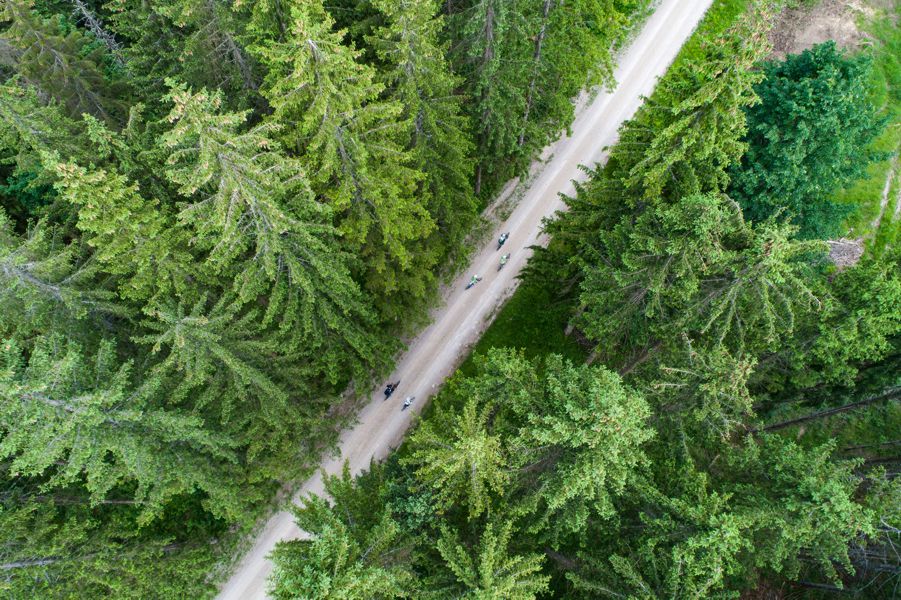 Kocevsko, Nea Culpa, Photo: Jost Gantar