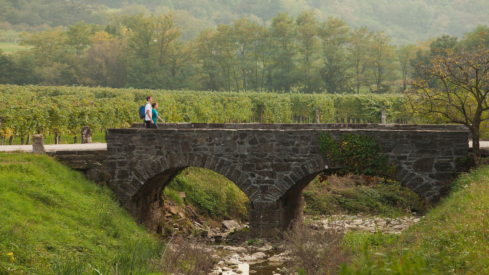 Stone bridge in Brda