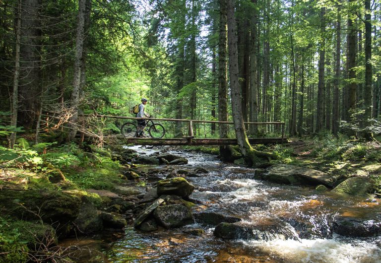 Biker at Šumik stream, Pohorje