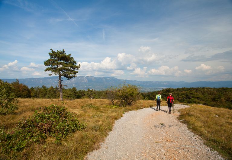 Kras, Trstelj, Photo: Jost Gantar